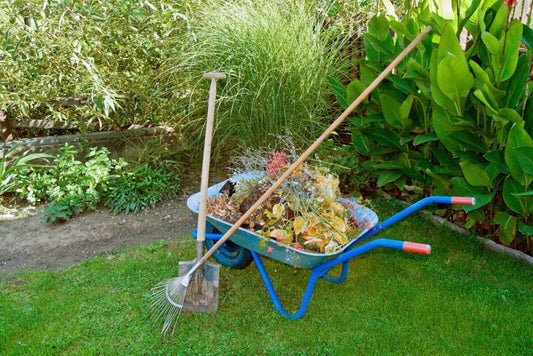 Preparing Raised Beds for Fall and Winter