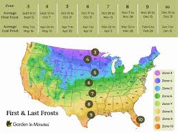 Understanding Last Frost Time Frames by Gardening Zones