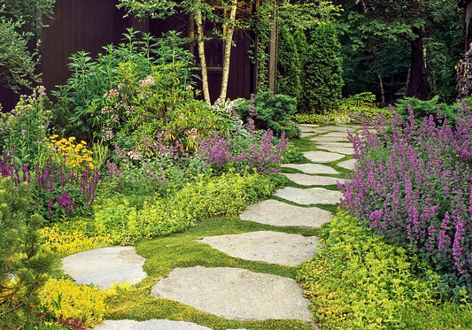 Why You Should Consider Ground Covers and Ornamental Grasses in Your Landscape