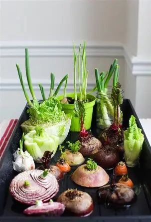 25 SCRAPS YOU CAN REGROW FOR FOOD FOREVER