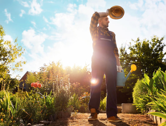 How to Keep Your Garden Alive During the Late-Summer Heat