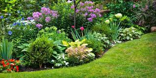 The Rule of 3: Creating a Balanced Landscape Design