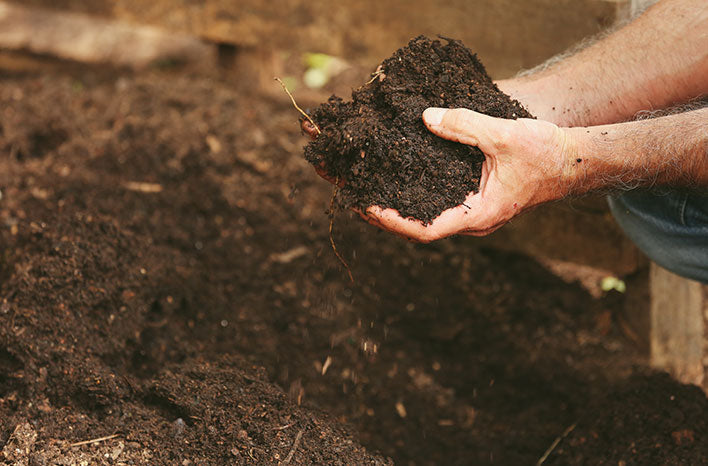 How to Correct and Build Healthy Soil During the Off-Season