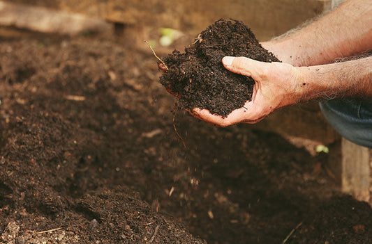 How to Correct and Build Healthy Soil During the Off-Season