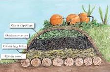Hugelkultur: The Raised Bed Method That Builds Itself