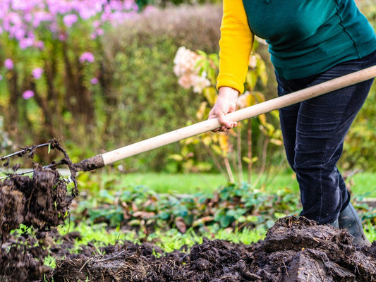 Getting Your Garden Ready for Fall