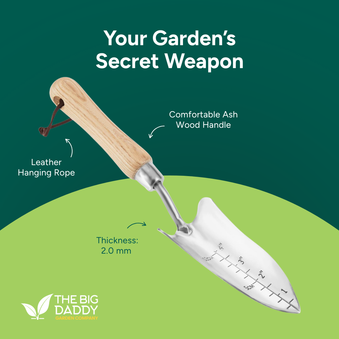 Stainless Steel Garden Trowel, Durable, Rust-Resistant